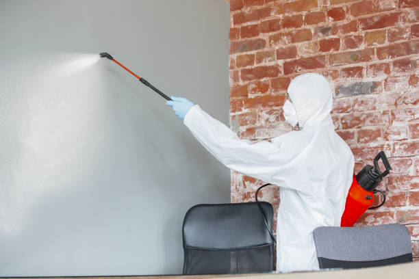 Asbestos and Lead Testing During Mold Inspection in Mitchell, SD