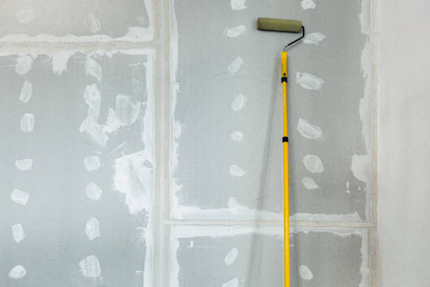 Best Mold-Related Health Consultation  in Mitchell, SD