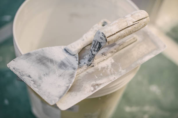 Best Post-Construction Mold Inspection  in Mitchell, SD